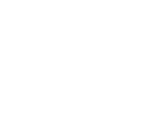 AHLogo2025White